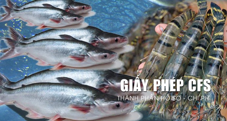 Giấy chứng nhận lưu hành tự do sản phẩm CFS Giấy chứng nhận lưu hành tự do sản phẩm CFS