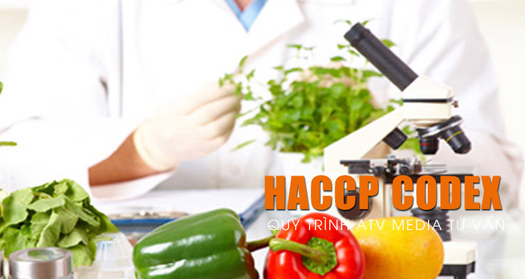 Thủ tục cấp chứng nhận HACCP