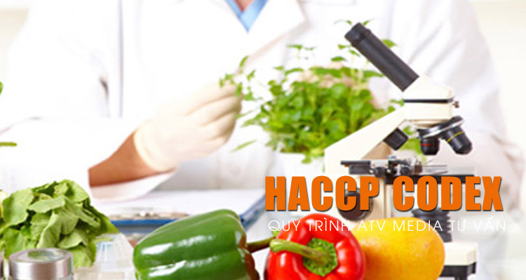 Tư vấn HACCP - Hệ thống quản lý an toàn thực phẩm Tư vấn HACCP - Hệ thống quản lý an toàn thực phẩm