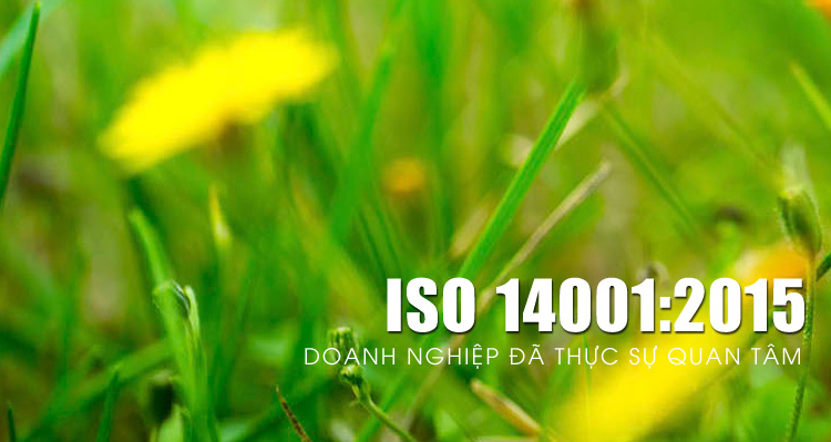 Quy trình thực hiện tư vấn ISO 14001 Quy trình thực hiện tư vấn ISO 14001
