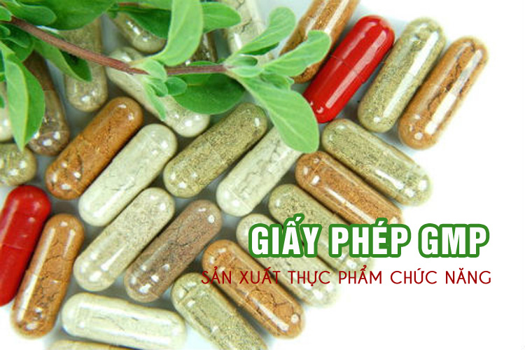 GMP-HS: Đảm bảo chất lượng cho sản phẩm Thực phẩm chức năng (TPCN)