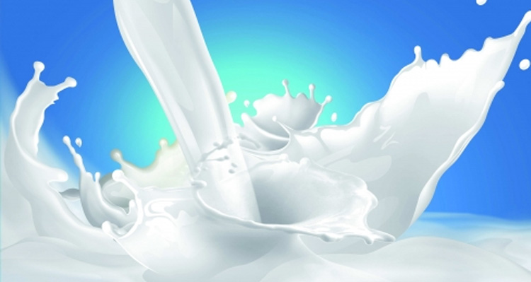 An toàn thực phẩm cho cơ sở sản xuất kinh doanh sữa và sản phẩm từ sữa