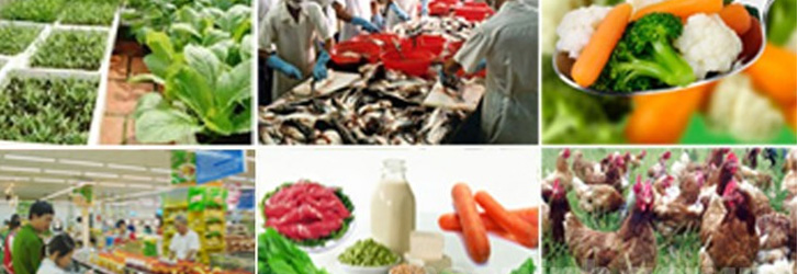 Lấy mẫu giám sát chất lượng thực phẩm: Nhiều khó khăn, bất cập