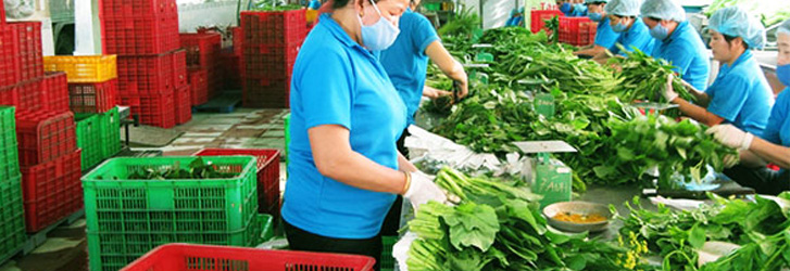 Hà Nội siết chặt quản lý an toàn thực phẩm trong lĩnh vực Công Thương
