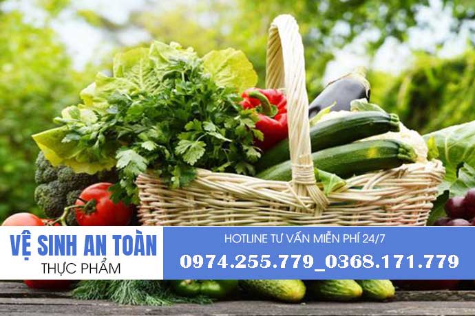 Xin giấy phép vệ sinh an toàn thực phẩm tại quận 3 TP Hồ Chí Minh