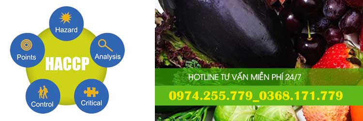 Dịch vụ chứng nhận HACCP Codex 2020 Dịch vụ chứng nhận HACCP Codex 2020