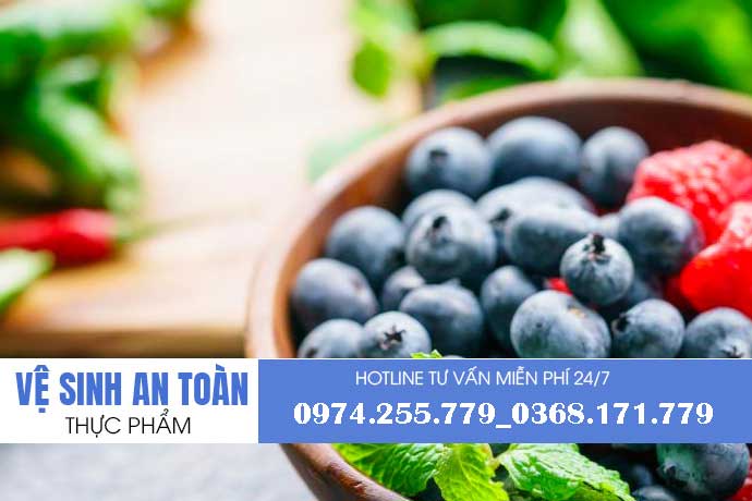 Xin giấy phép vệ sinh an toàn thực phẩm tại quận Tân Phú  TP Hồ Chí Minh