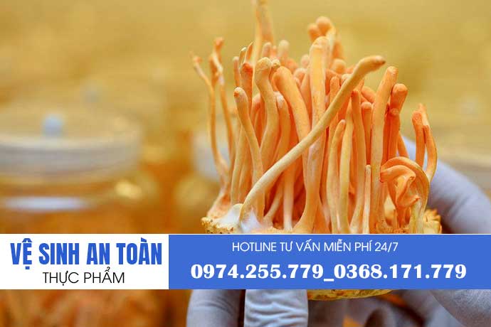 Xin giấy phép an toàn thực phẩm cho cơ sở sản xuất đông trùng hạ thảo